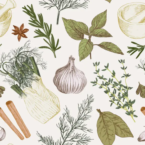 Vector illustration of Herbs and spices  coloured seamless pattern