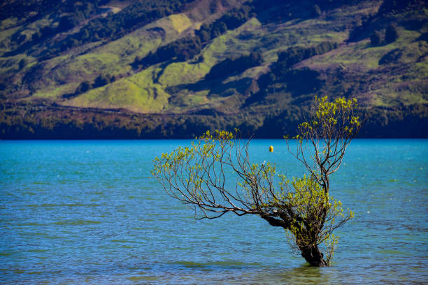 Lake Wakatipu view from Queenstown mountain top