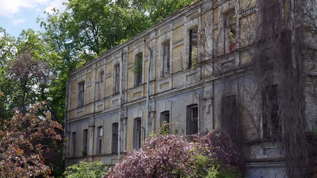 A dilapidated house near green trees with peeling walls