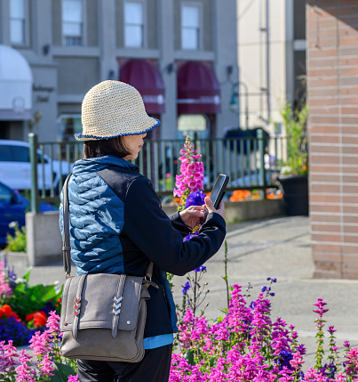 Woman taking photos of beautiful flowers using her smartphone. Downtown Anchorage. Alaska.