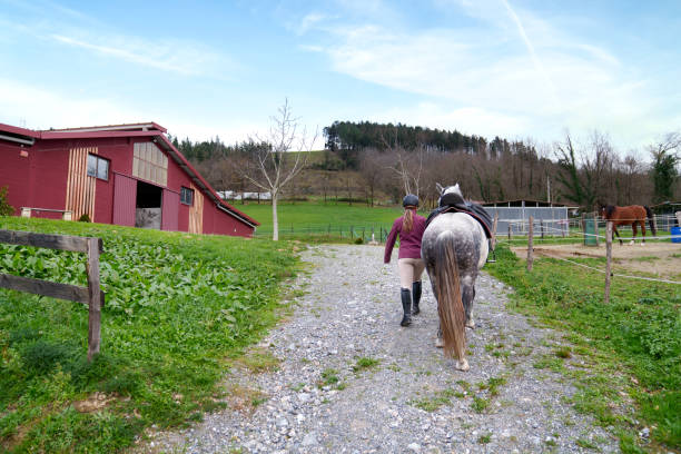 Young rider walks with her white horse on a gravel path, with a rustic red barn and green fields in the background
