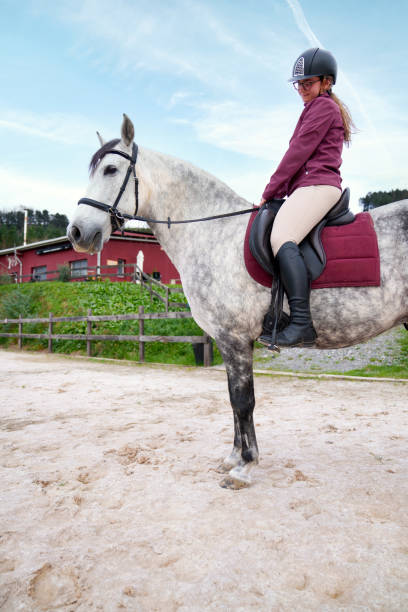 istock Confident Equestrian on a White Horse 2032249480