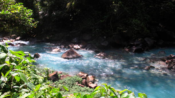 eine fantastische und farbenfrohe reise am rio celeste, costa rica - costa rica waterfall heaven rainforest stock-fotos und bilder