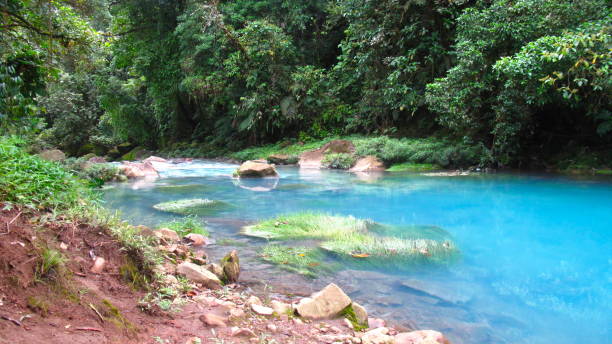 a fantastic and colorful trip at rio celeste, costa rica - costa rica waterfall heaven rainforest 뉴스 사진 이미지