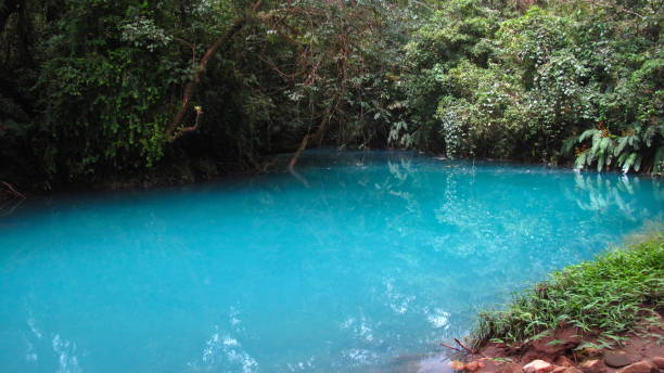istock A fantastic and colorful trip at Rio Celeste, Costa Rica 2032258683