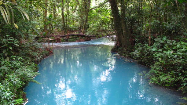 a fantastic and colorful trip at rio celeste, costa rica - costa rica waterfall heaven rainforest 뉴스 사진 이미지