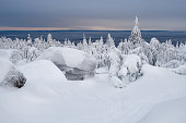 Amazing winter snow-covered mountain forest