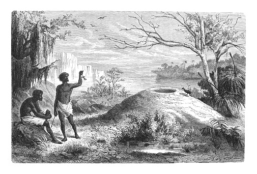 Vintage engraved illustration isolated on white background - Australian landscape with Orange-footed scrubfowl nest (Megapodius reinwardt)