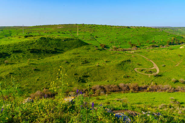 istock Tabor Stream landscape, with winter wildflowers 2032274428