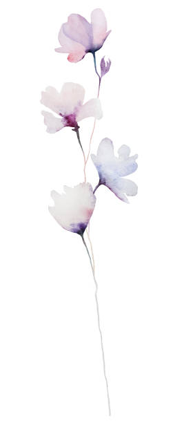 istock Watercolor light purple wildflowers isolated illustration, floral wedding and greeting element 2032281519