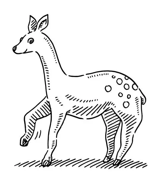 Vector illustration of Roe Deer Cartoon Animal Drawing