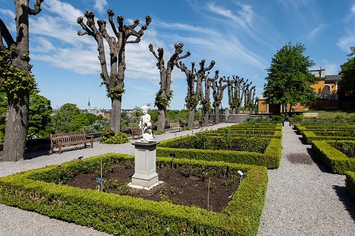A statue garden in Stockholm's Skansen park featuring statues and pollard trees