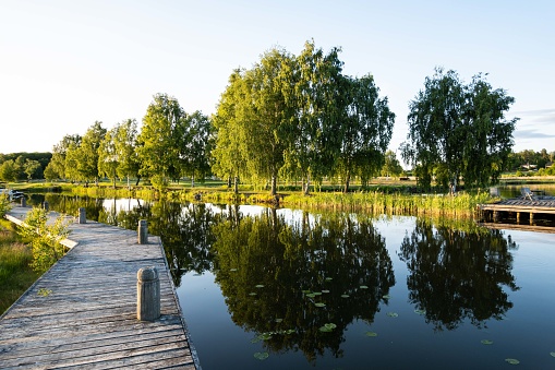 water landscape in national park Oisterwijkse Vennen, Holland