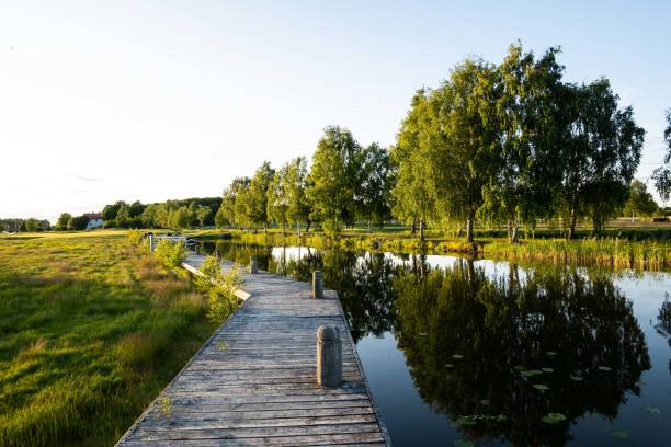 スウェーデンの湖畔の手入れの行き届いた公園の美しい環境