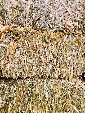 Vertical closeup photo of freshly harvested oat straw bales in Summer.