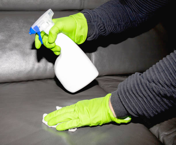 istock A man wearing cleaning gloves wipes the leather sofa. 2032317398