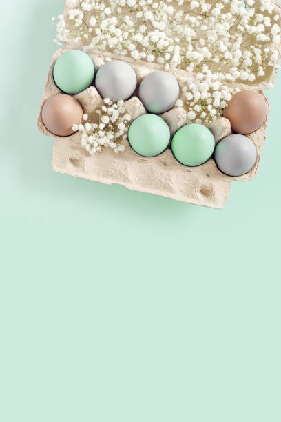 istock Pastel Easter Eggs with white Flowers in Carton box on mint Background, top view chicken egg painted turquoise beige colors. Easter celebration concept. Festive food, minimal still life holiday 2032338717