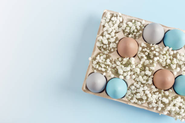 istock Easter Egg Assortment in Carton with White Baby's Breath on Light Blue Background. Pastel colored dyed eggs in package, spring holiday photo, tender soft hues, celebration food and white flowers 2032338723
