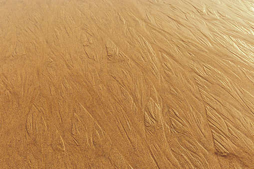 Sunlit Golden Sand with Rippled Texture from sea waves, wet shiny sandy shore at sunset, yellow beige natural textured pattern, minimal nature surface, summer time, golden hour