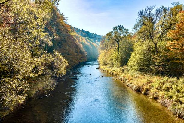 This is the Ropa River, a tributary of the Wisłoka River, which flows in the Polish Carpathians.