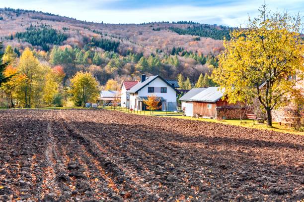 istock Houses in a small village 2032369691