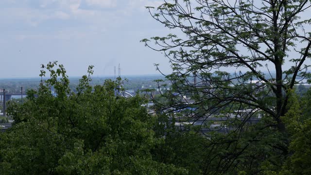 View of the bridge and Kyiv from the botanical garden from afar.