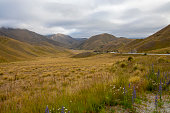 Lindis Pass is in the South Island of New Zealand.