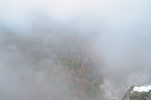 View from the large Zschirnstein into the valley of colorful conifers visible through the mist. Nature park in Saxon Switzerland in Germany