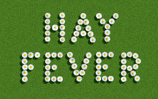 words written with daisies (Bellis Perennis) on green clover, hay fever