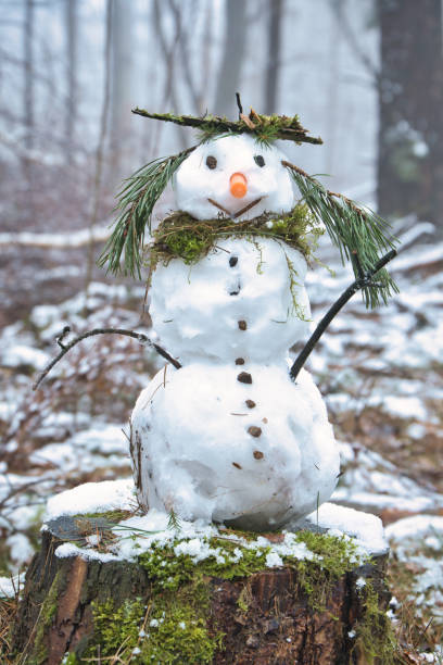 istock Snowman on a tree stump with carrot, buttons, branches, pine needles as hair 2032404164