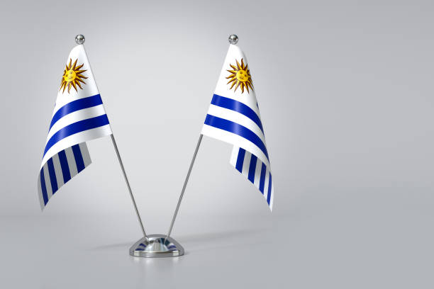 doppelte tischflagge der östlichen republik uruguay auf grauem hintergrund. 3d-rendering - oriental republic of uraguay stock-fotos und bilder