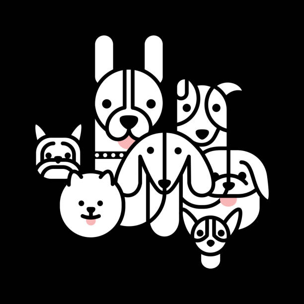 Diseño de iconos de razas de perros pequeños en blanco y negro - ilustración de arte vectorial