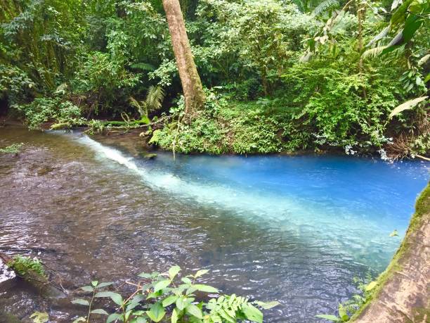 a fantastic and colorful trip at rio celeste, costa rica - costa rica waterfall heaven rainforest stock-fotos und bilder