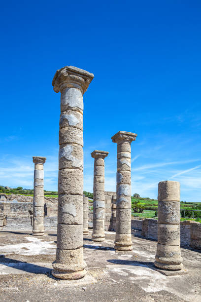 ancient roman basilica ruins at baelo claudia under clear blue sky - claudia zdjęcia i obrazy z banku zdjęć