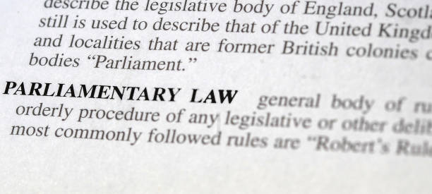 istock parliamentary law 2032453832