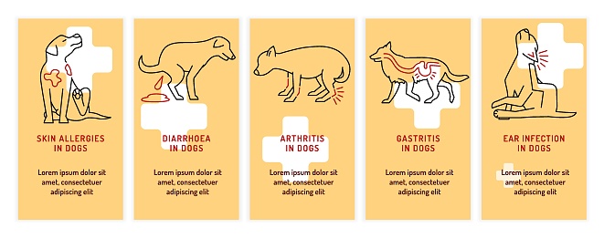 Top 5 conditions in dogs. Common diseases in adult animals. Veterinarian concept with linear icons. Vector illustration isolated on a light yellow background. Vertical poster, informative banner