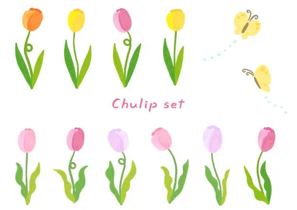 Vector illustration of Tulips and butterflies, cute hand-drawn illustration set