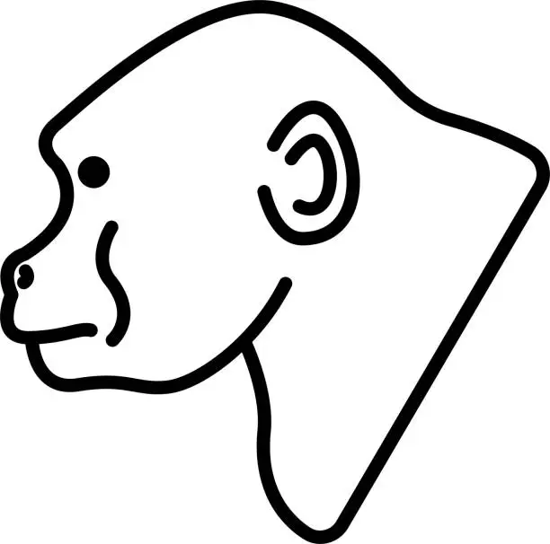 Vector illustration of Gorilla face glyph and line vector illustration