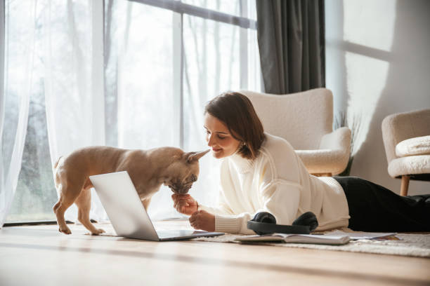 istock Using laptop. Young woman is with her pug dog at home 2032500461