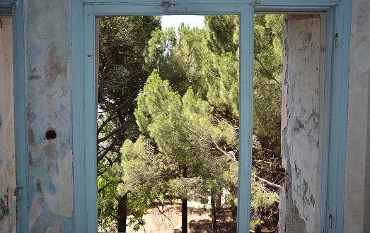 The frame extends through the window into nature with trees