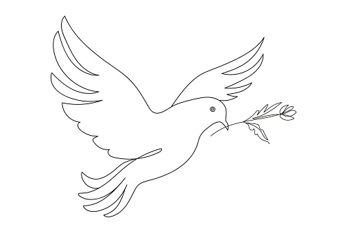 Continuous one line drawing of a pigeon in flight with a branch. Dove of peace. Line art. Concept of freedom, hope. White backdrop. Design element for print, postcard, scrapbooking, coloring book.