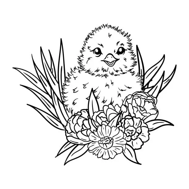 Vector illustration of Coloring page with chicken in grass and flowers. Black and white illustration for postcard, print and sticker