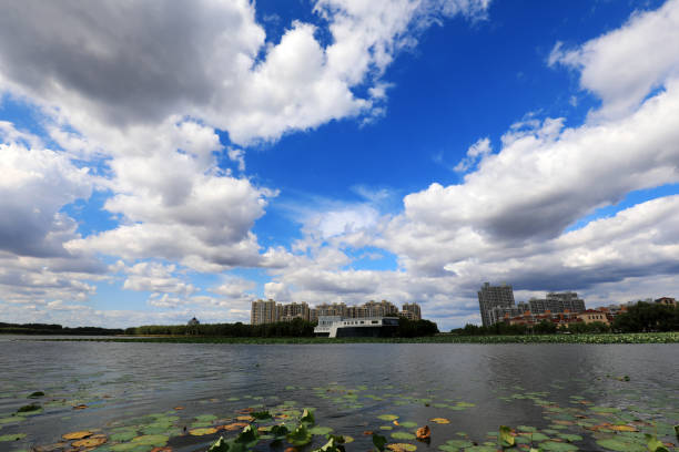 Sunny waterfront urban architectural scenery, North China