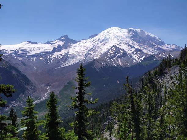 istock Mount Rainier National Park, Washington, USA 2032531184