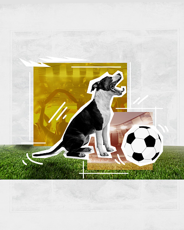 Purebred dog sitting with soccer ball and sport fans watching game on background in open air football arena. Contemporary art. Concept of sport, animal theme, surrealism, tournament. Creative poster