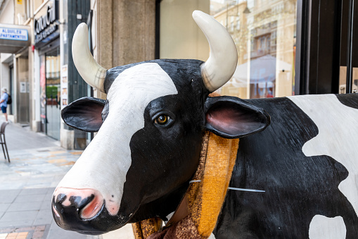 Cartagena, Murcia - Spain - 01-16-2024: Realistic cow sculpture in cityscape, Cartagena, with striking black and white patterns, horns, and lifelike eyes