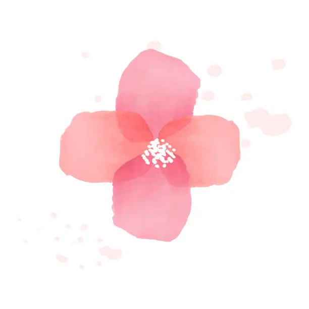 Vector illustration of Cute watercolor flower on white background