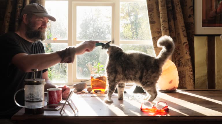 A Man Grooming His Cat (zoom in)