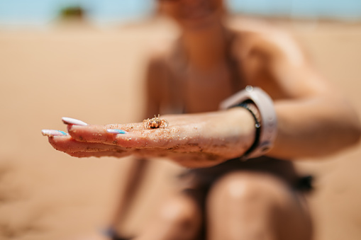 Young woman holding a small crab on the beach in Hurghada in Egypt. Close-up.