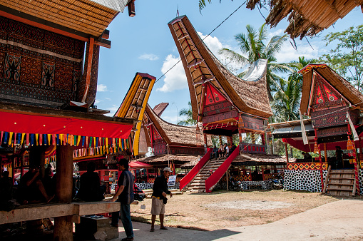 Tana Toraja, Sulawesi, Indonesia - Oct 20, 2009: view of the characteristic Toraja houses recall the shape of an upside-down boat, near Rantepao